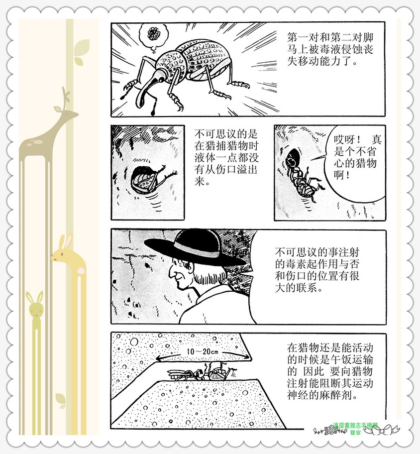 昆虫记法布尔正版全集,昆虫记法布尔阅读答案