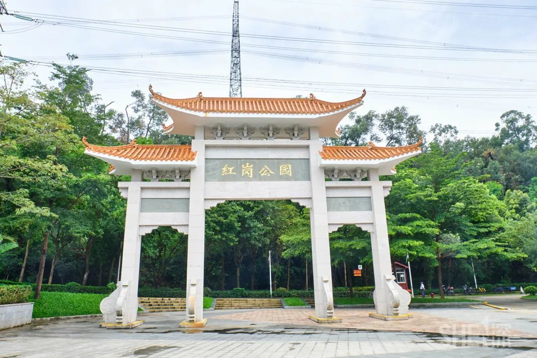 罗湖区的名气大吗,带你了解罗湖