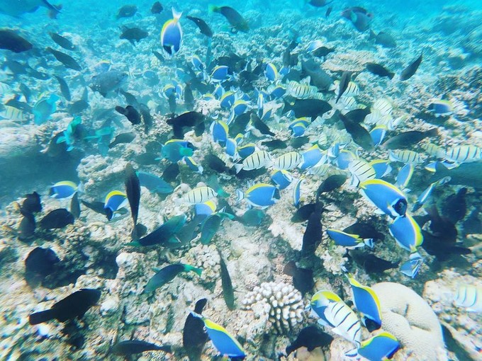 铂爵旅拍婚纱照9套衣服多少钱,去马尔代夫拍婚纱照要多少钱