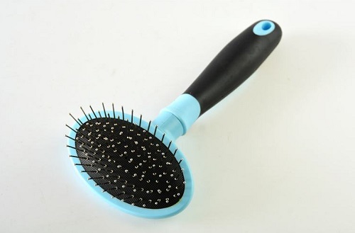 狗毛炸起来是什么原因,狗毛少了一块