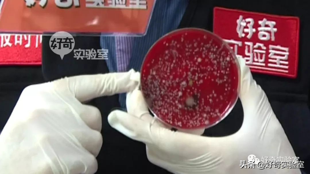 手机消毒用什么方法最好,教你如何给手机消毒又学一招