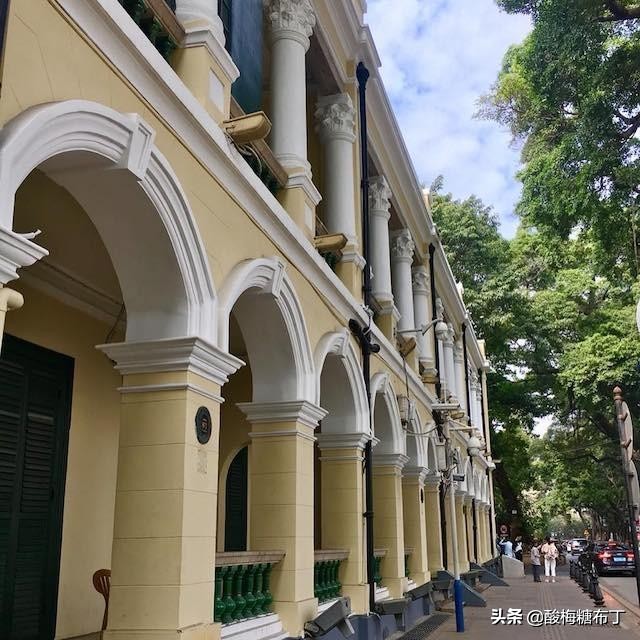 上海最贵的白切葵花鸡多少钱,广东最好的葵花鸡多少钱一斤