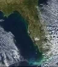 山海经扶桑国记录,山海经中的扶桑文化根