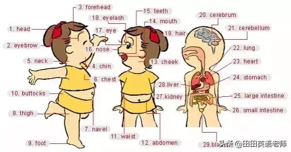24张英语单词表达图,英语场景词汇