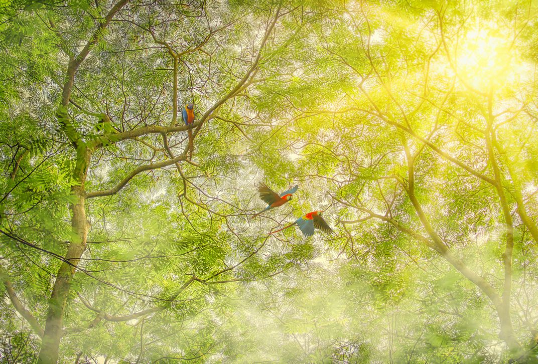 美国史密森尼摄影大奖,史密森尼摄影大奖