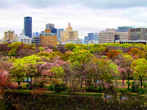 日本埼玉浦和,日本女团琦玉体育馆