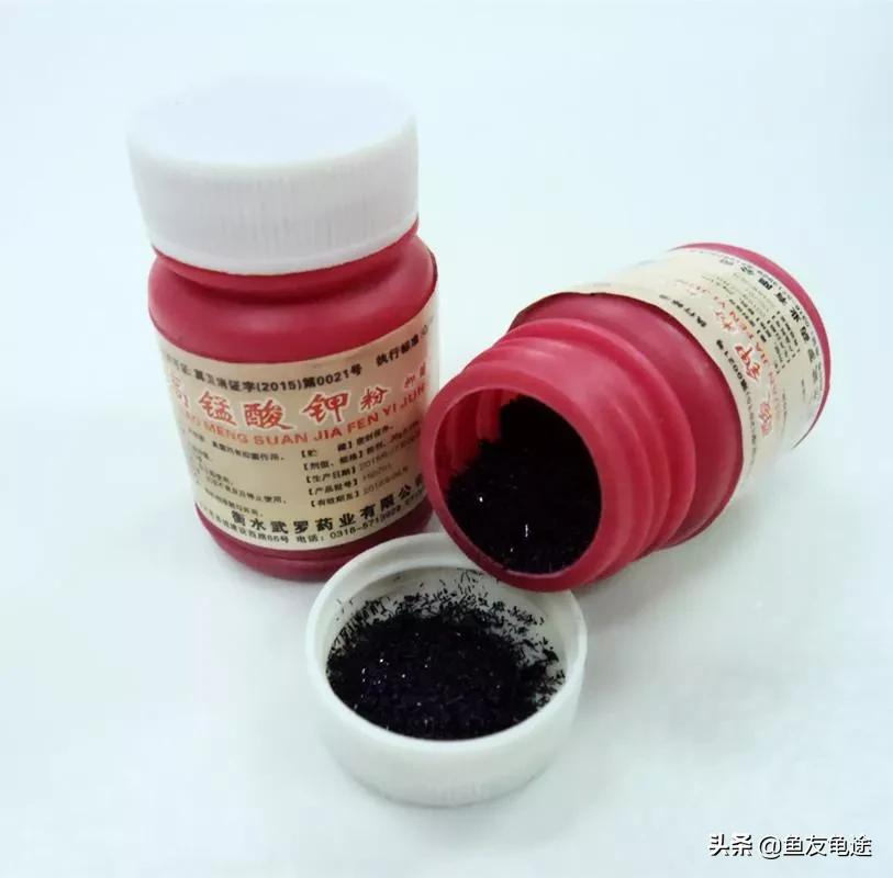 金鱼烂鳍烂尾用阿莫西林,金鱼烂尾烂鳍会传染吗