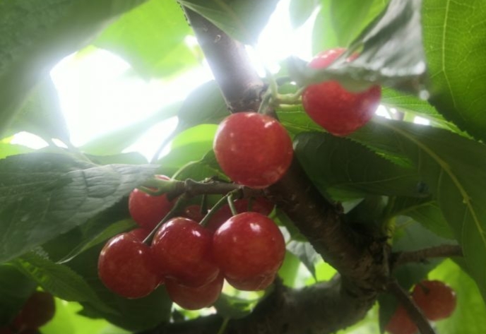 成都周边休闲圣地推荐,成都附近游玩推荐一日游