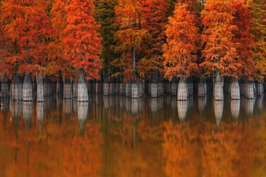 南京是属于哪个省的,南京是现在的哪个城市