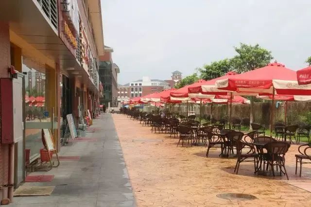 高职高考广东岭南职业技术学院,广东岭南职业技术学院高职宿舍