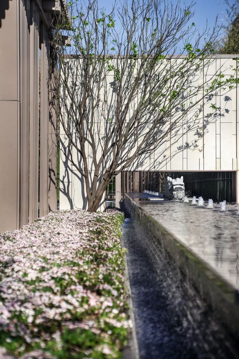 苏州中海青剑湖上园湾示范区,苏州青剑湖上园湾龙湖熙上