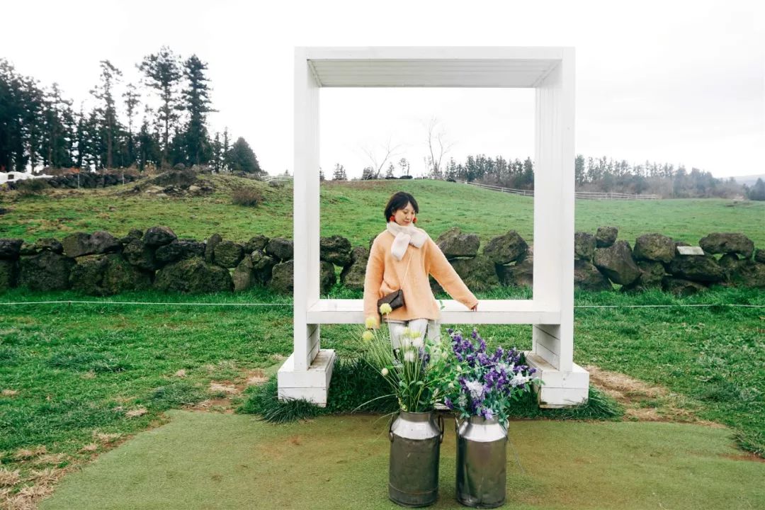 西安直飞1h,西安出发三日游冬季高铁