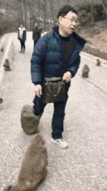 “如果这群女混混*攻围**我,我会舌战群儒!”你会怎样脱困?