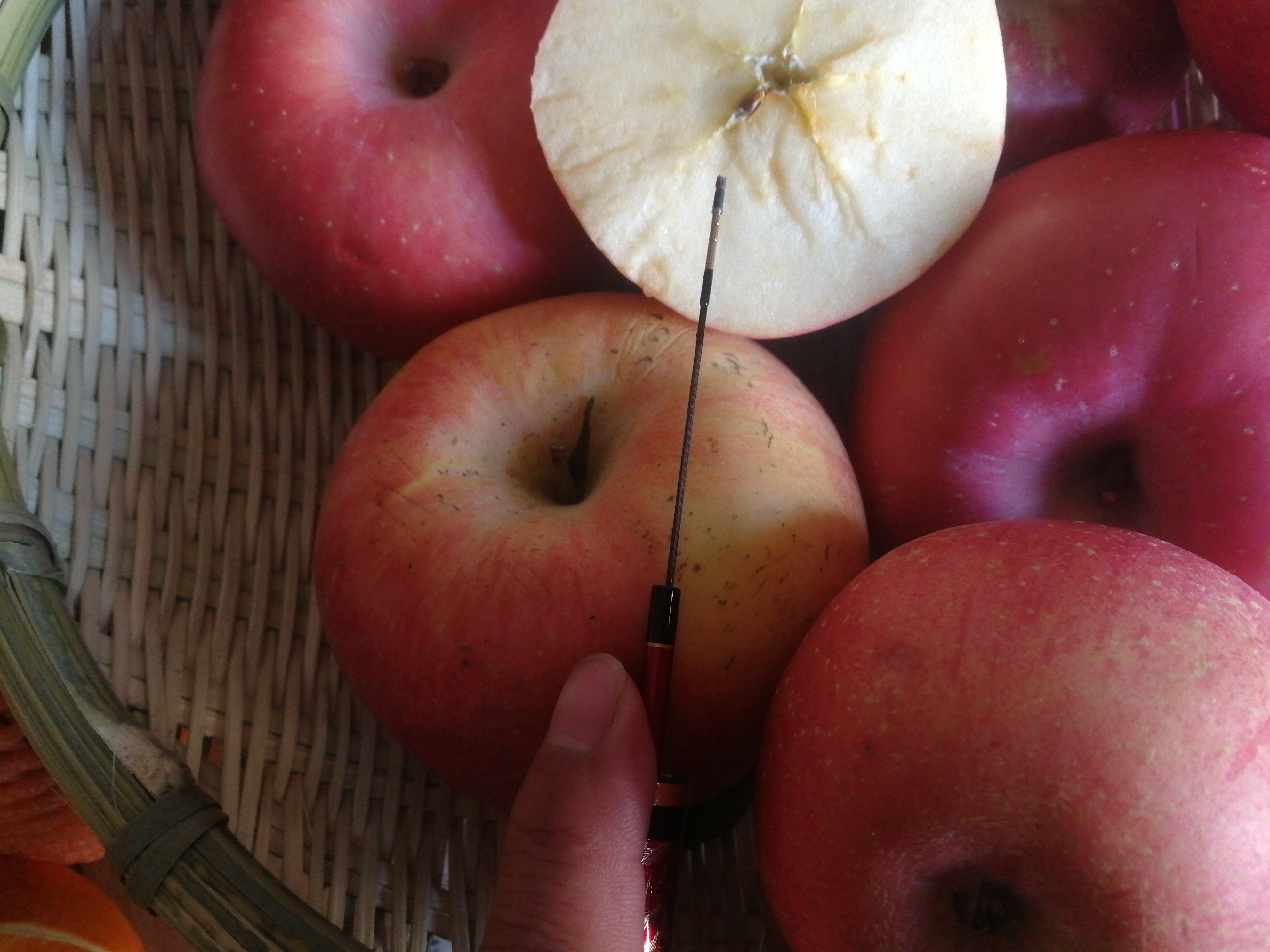 钓竿的这十大忽悠，看看你都中了几个，花了多少冤枉钱