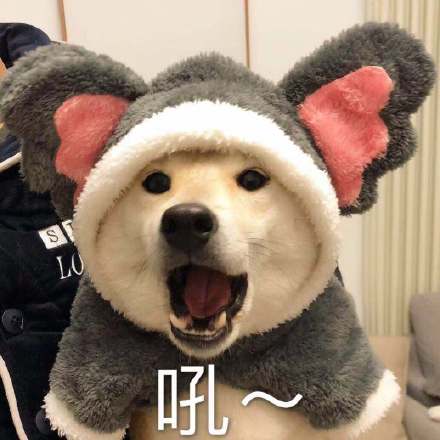 圣诞节表情包我想吃什么,圣诞节快乐表情包可爱