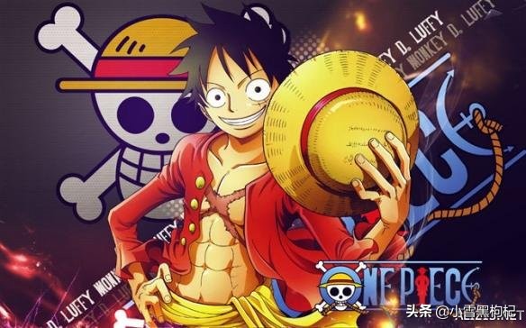 航海王日本漫画,航海王尾田荣一郎签名