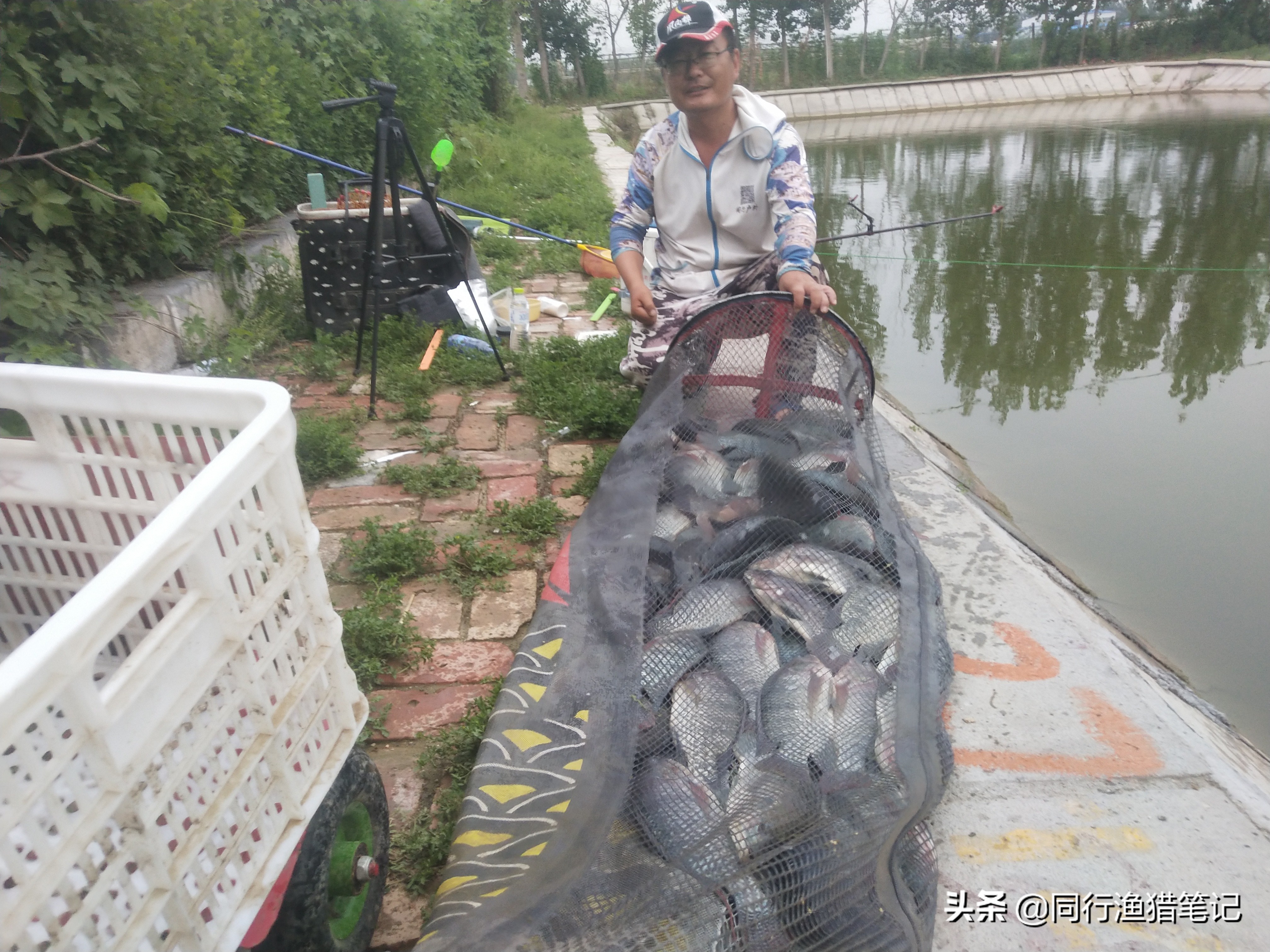 辟谣：用细线钓鱼就是细线钓法？不尽然，细线钓法只是相对概念