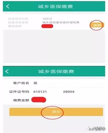 汉中市城乡居民医保缴费方式,城乡医保手机怎么缴费