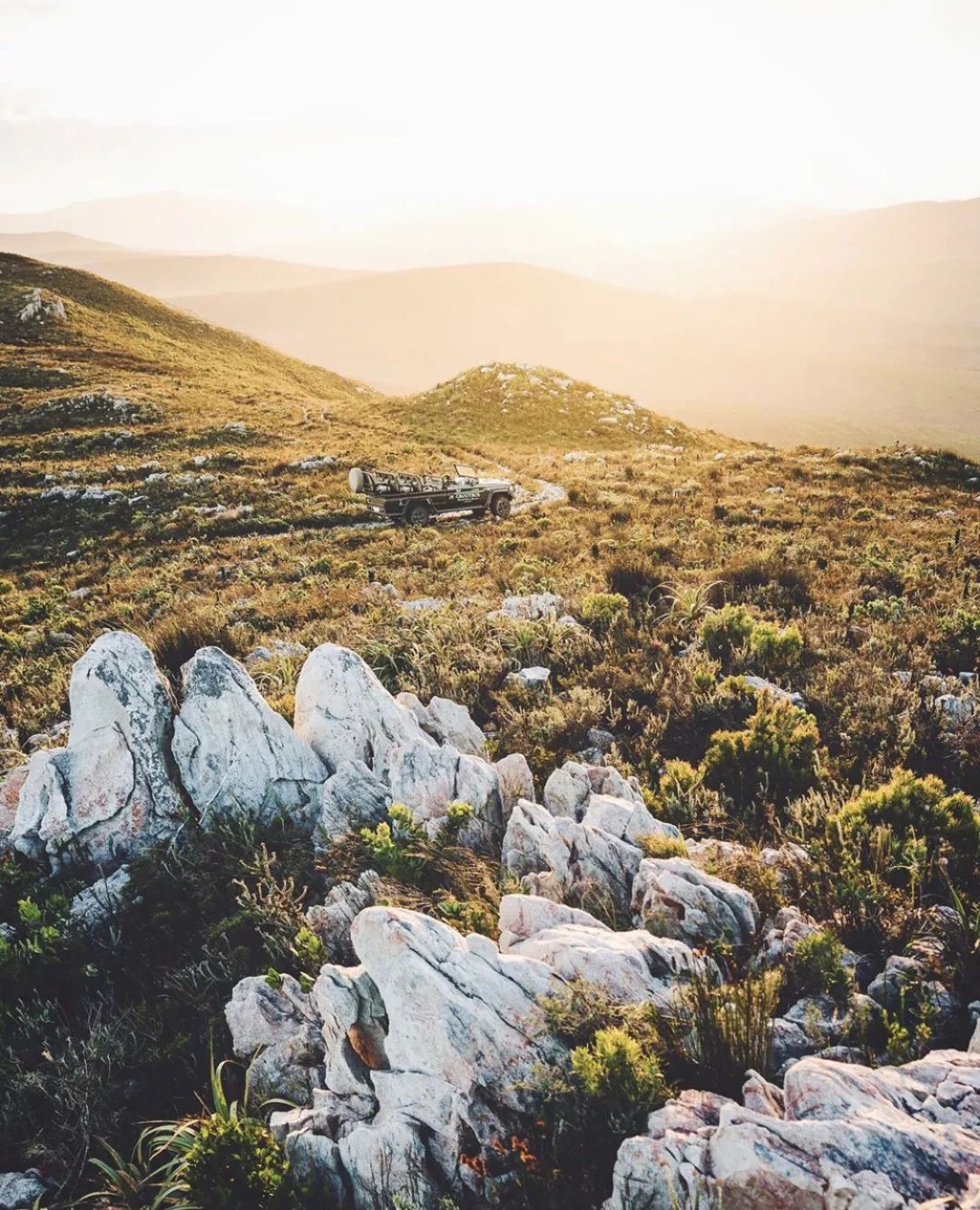 非洲猎游全攻略，让你分分钟玩转非洲草原