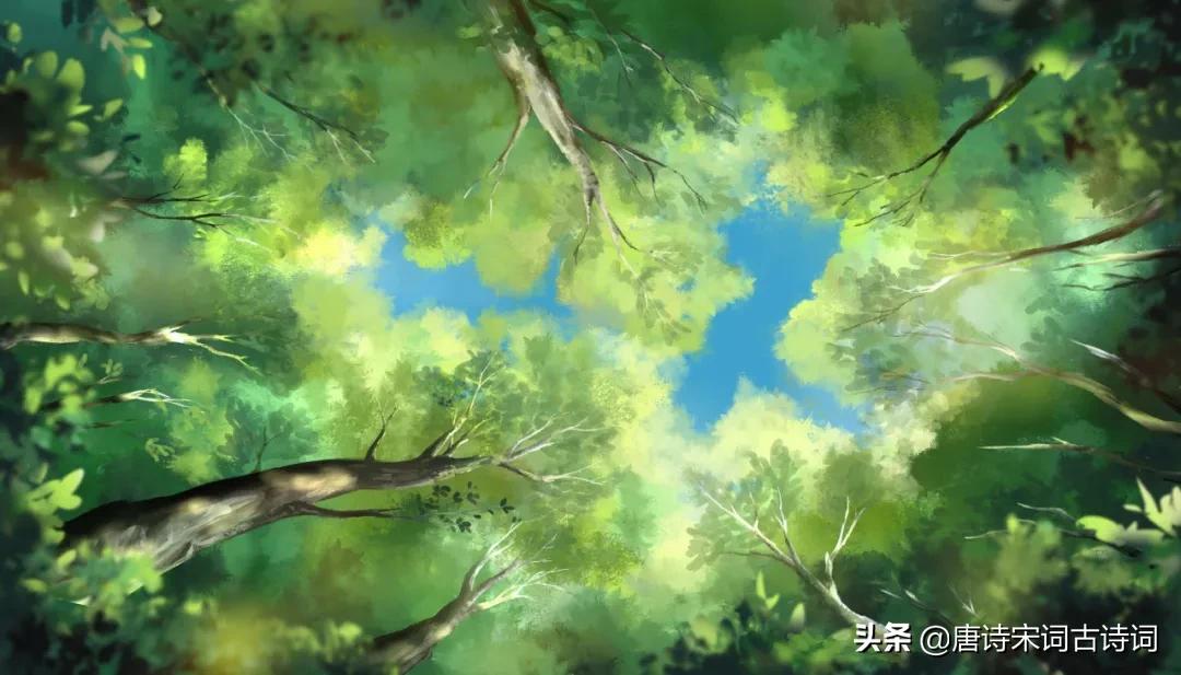 雨打梨花深闭门,雨打梨花深闭门书法