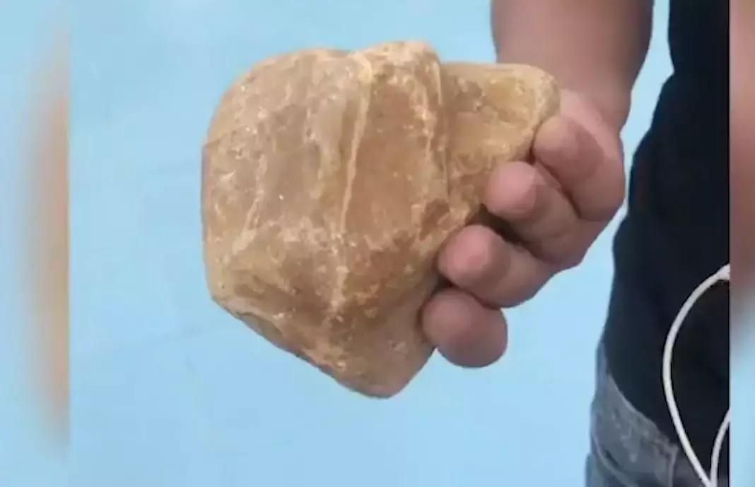 百万巨鳄砸死鳄鱼,鳄鱼被石头打伤