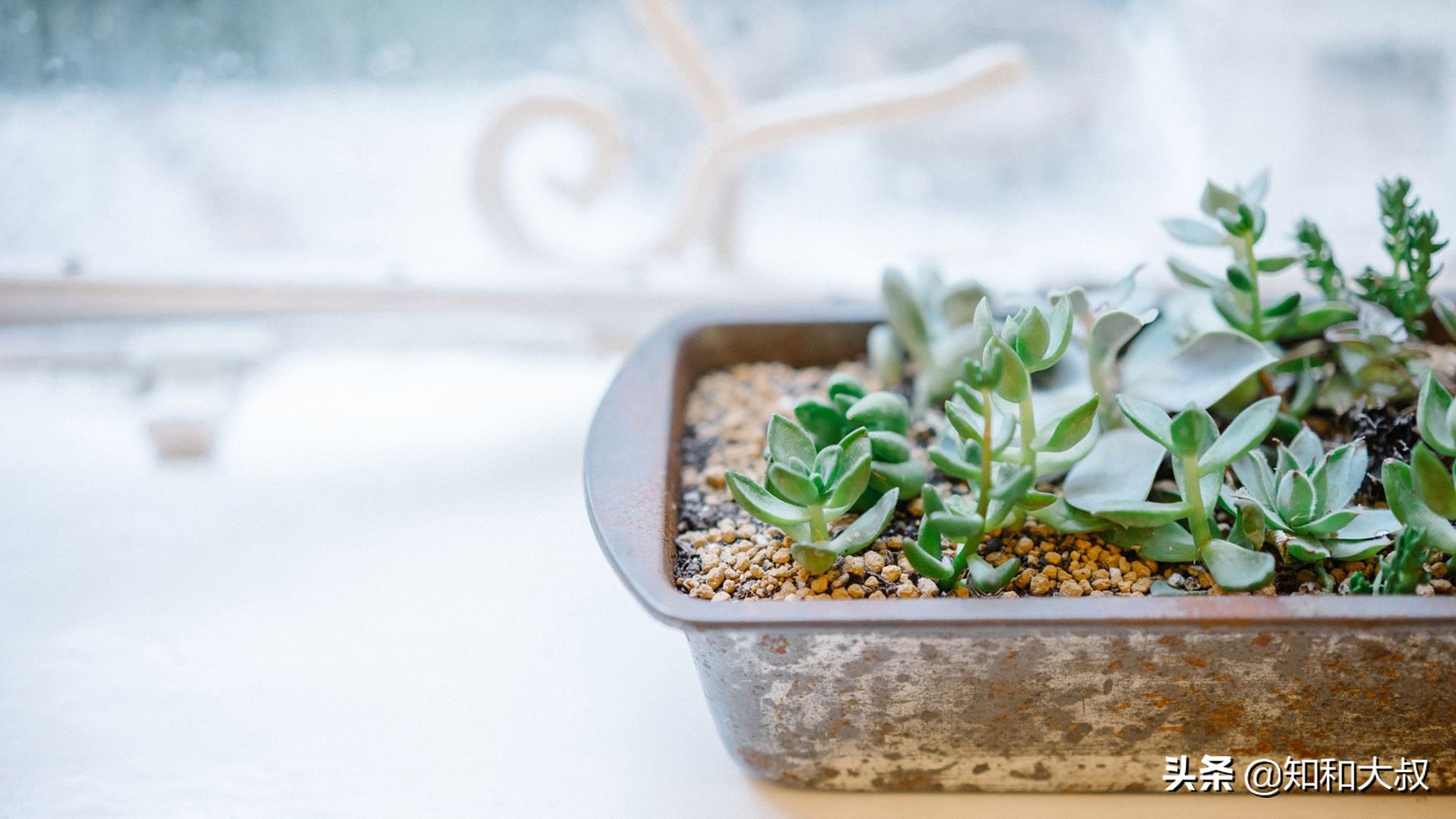 人走背运的禁忌,人走背运怎么化解