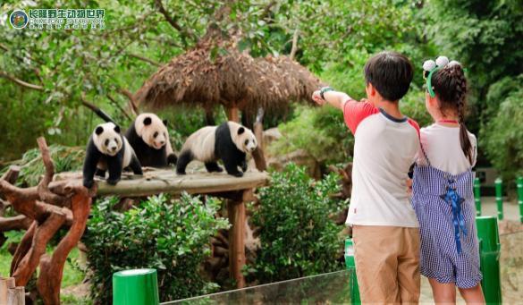 2019暑假珠海长隆亲子游攻略,广州长隆值得玩2天吗