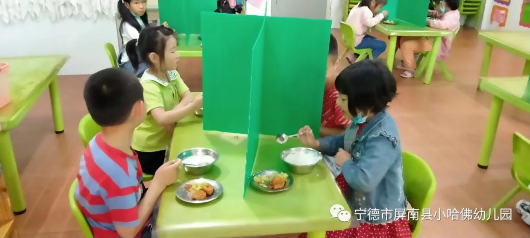 宁德小哈佛幼儿园,宁德蕉城区小哈佛幼儿园