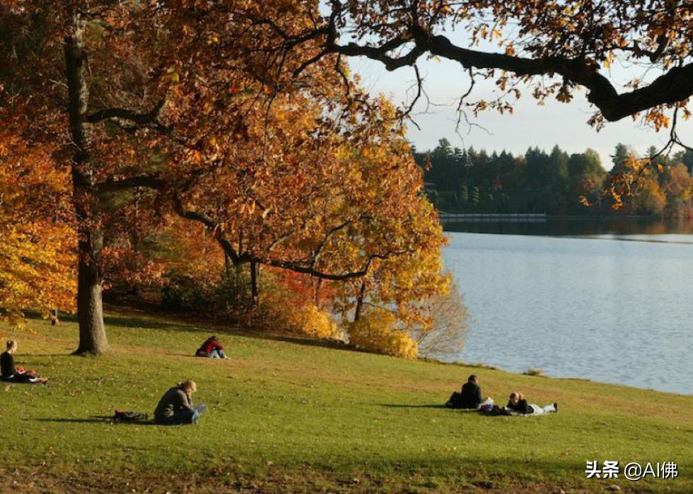 美国康奈尔大学校园风景,美国校园美景