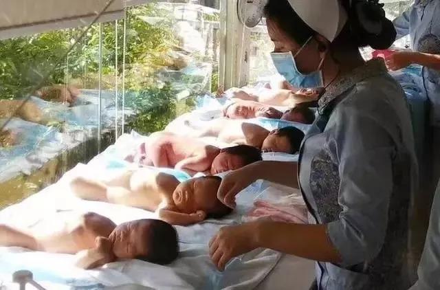 新生儿黄疸宝妈担心视频,新生儿黄疸护理和处理月嫂怎么做