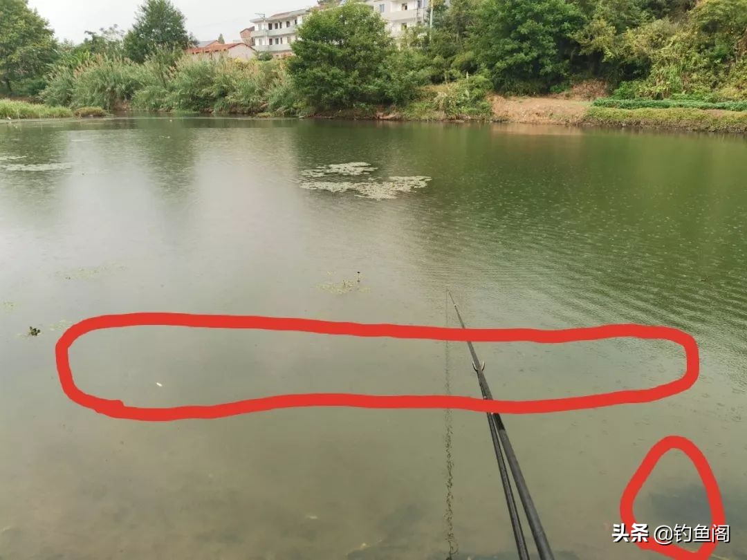 为什么野钓渔获越来越少,现在野钓基本没啥渔获