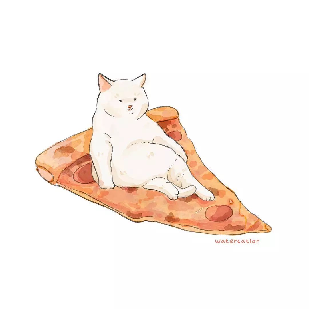 猫是液体的证据找到了吗,猫难道真的是液体吗