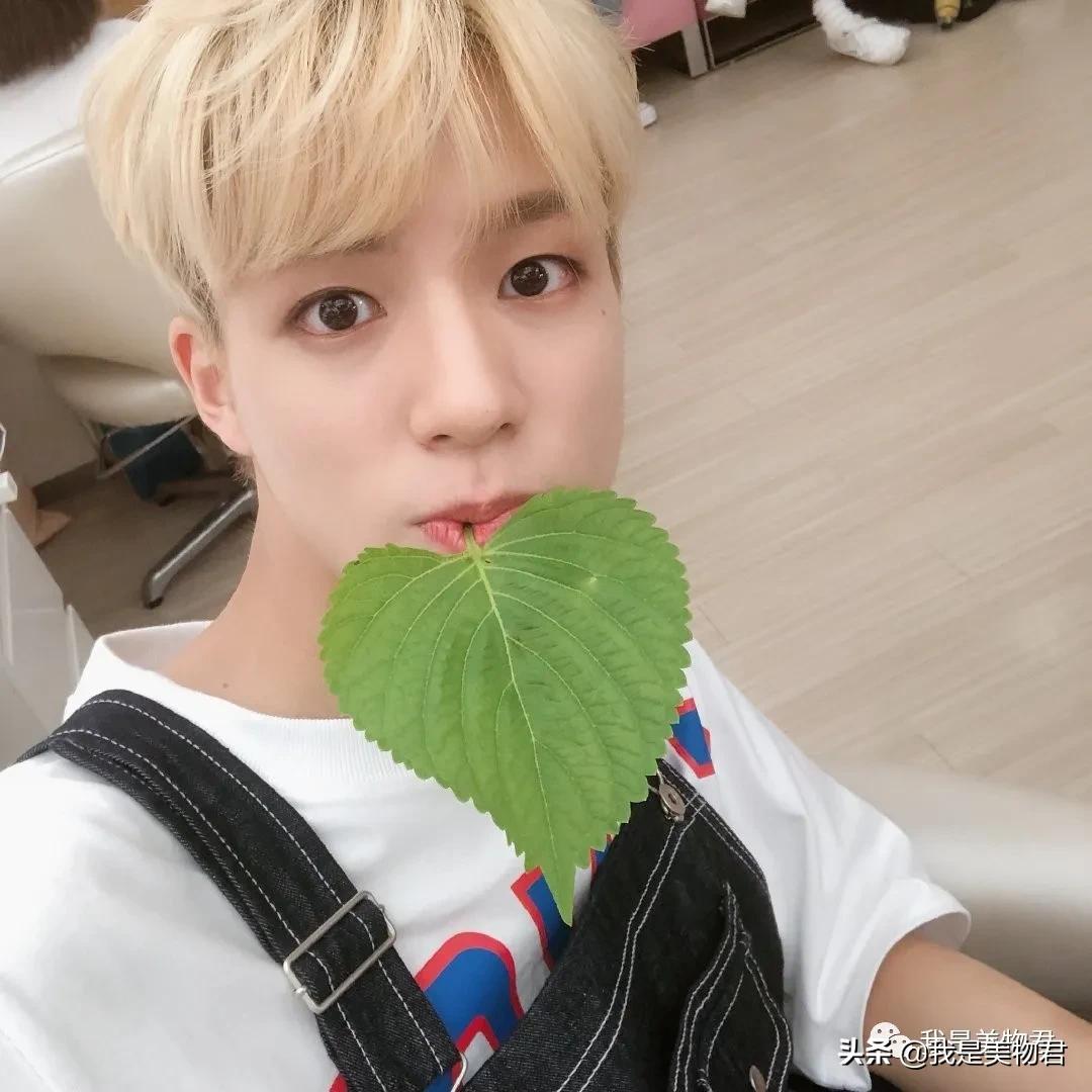 jennie香奈儿高定刘亦菲,刘亦菲jennie