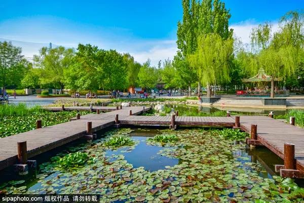 北京夏天傍晚值得去的地方,八月份北京适合旅游的地方推荐