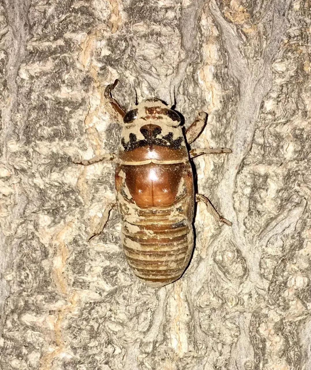 回忆童年那些美好时光,回忆那些美好童年时光