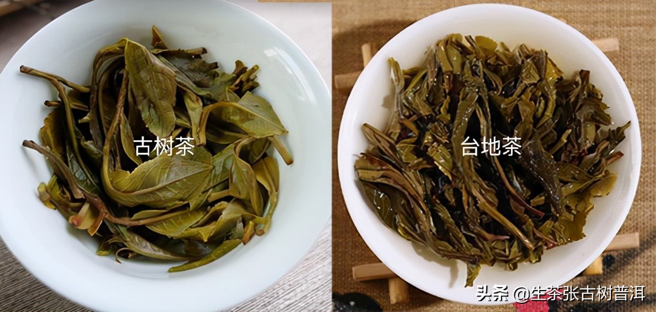 如何选购小青柑普洱茶的好坏,普洱茶新手入门必备