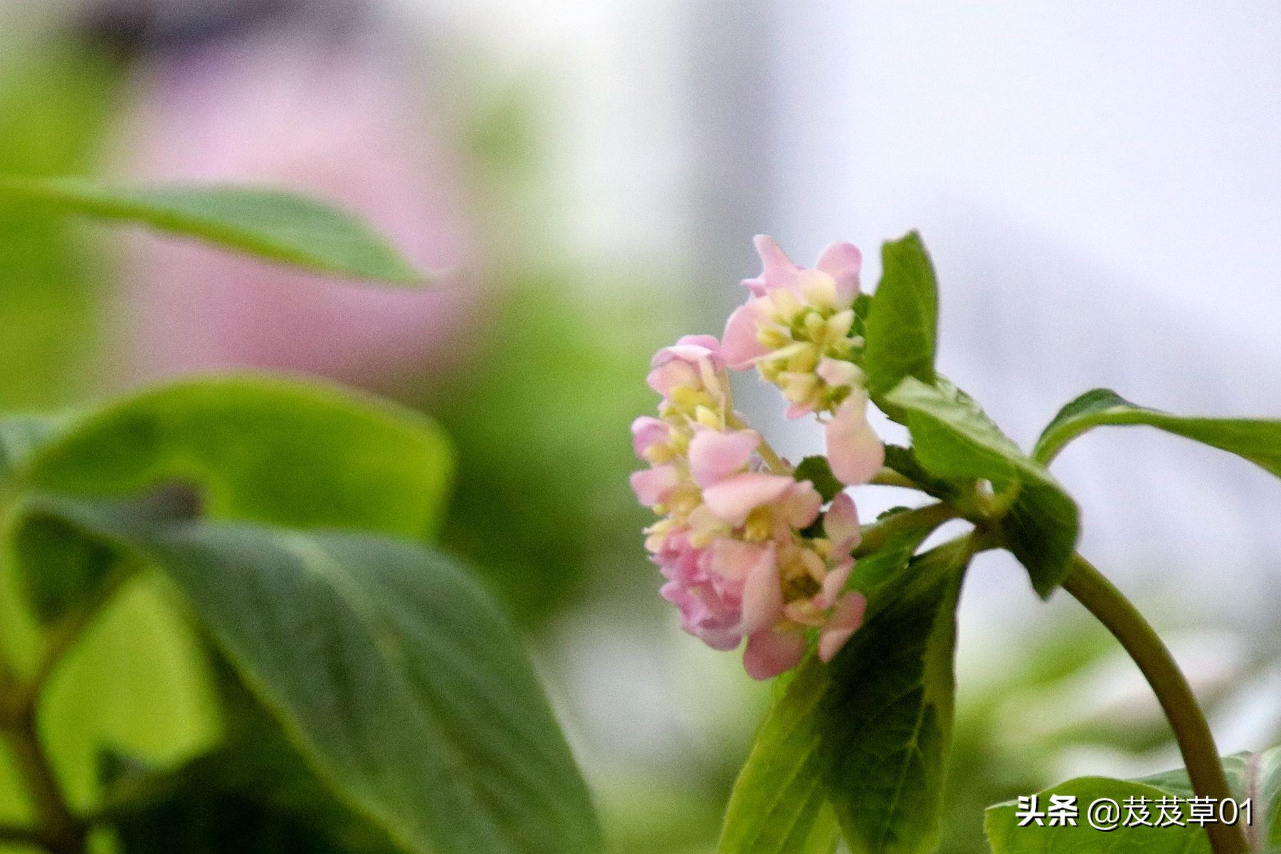 与老年人沟通的说话技巧,老年人语言沟通技巧