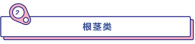 最容易瘦的主食篇,十二种主食食谱一周瘦10斤