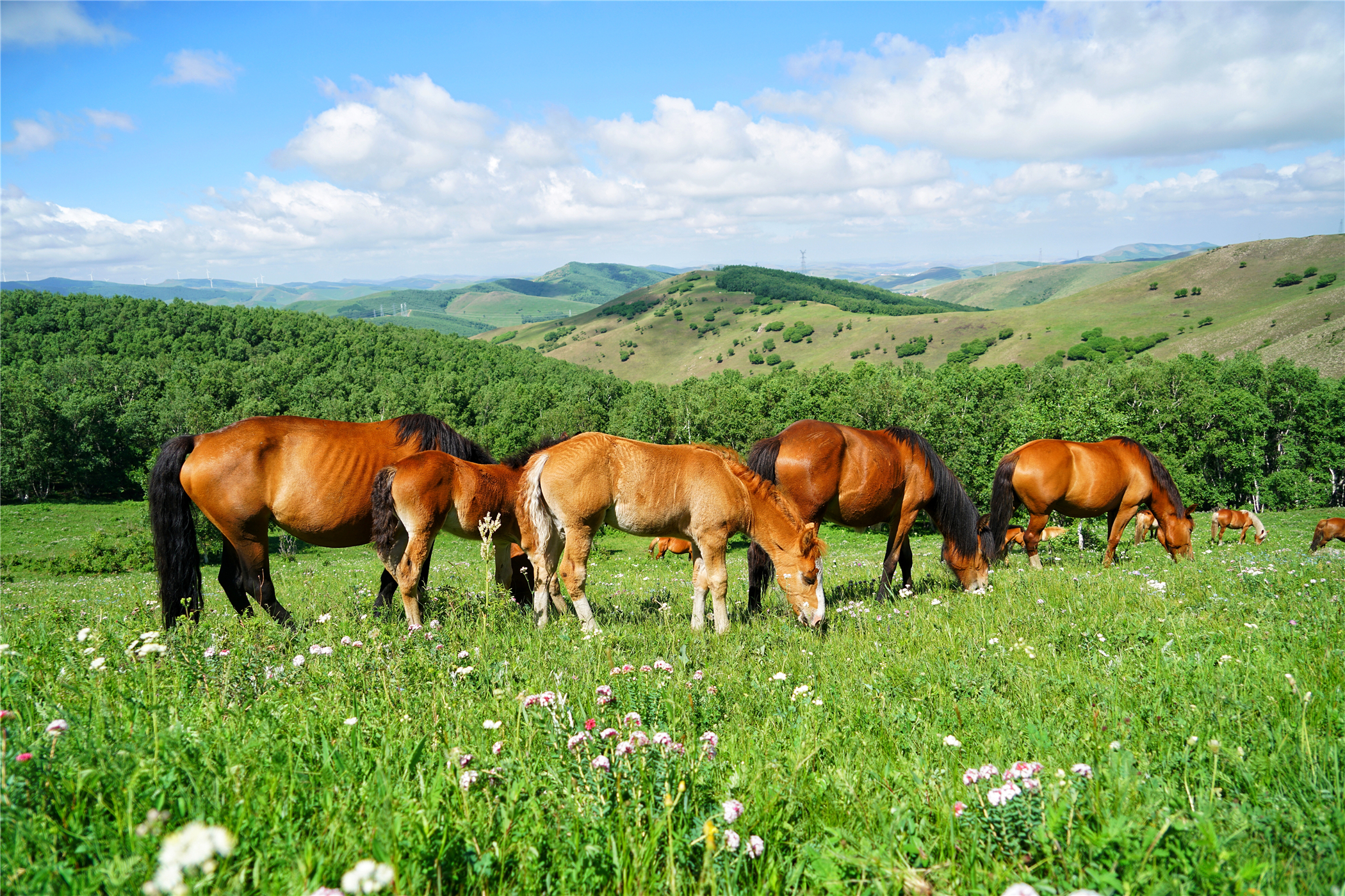 北京自驾避暑旅游攻略,2天一夜避暑胜地自驾游大盘点