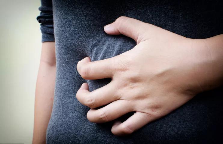 我们的身体里都有什么器官,我们的身体里有几颗卵