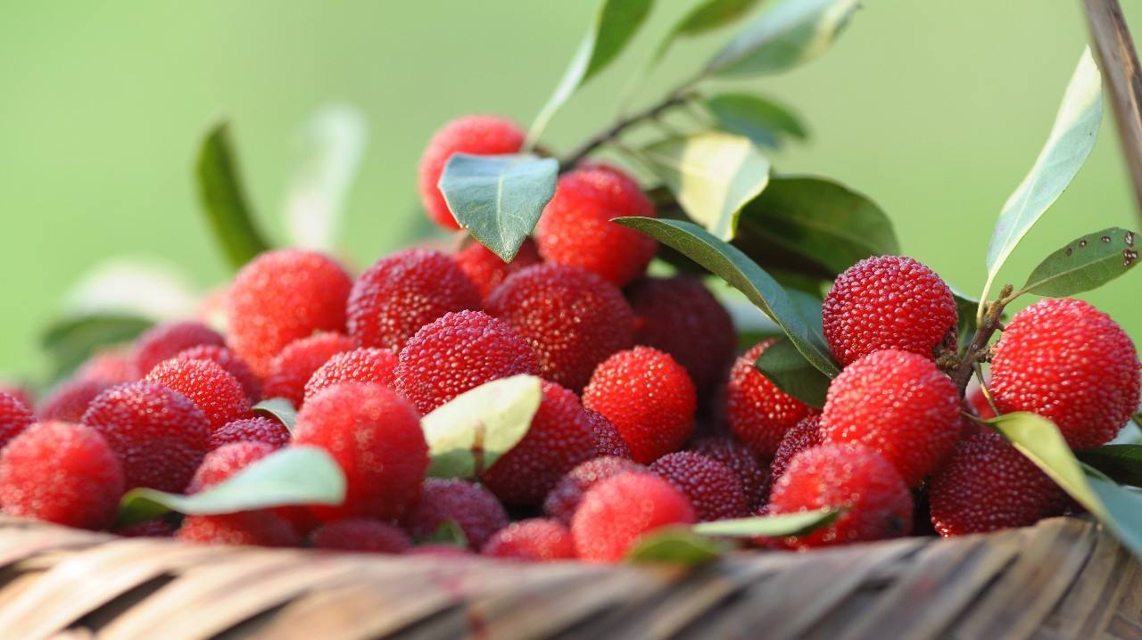 盐水洗水果增加农药残留,用盐水洗杨梅可以减少酸吗