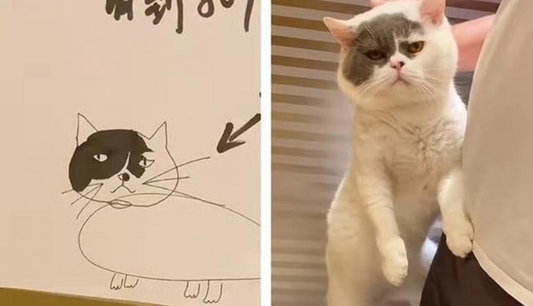 画狗寻狗启事搞笑,寻狗启事画像搞笑