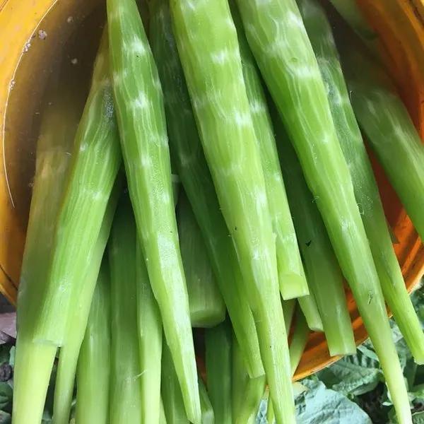 蔬菜美容护肤方法,美容蔬菜排行榜