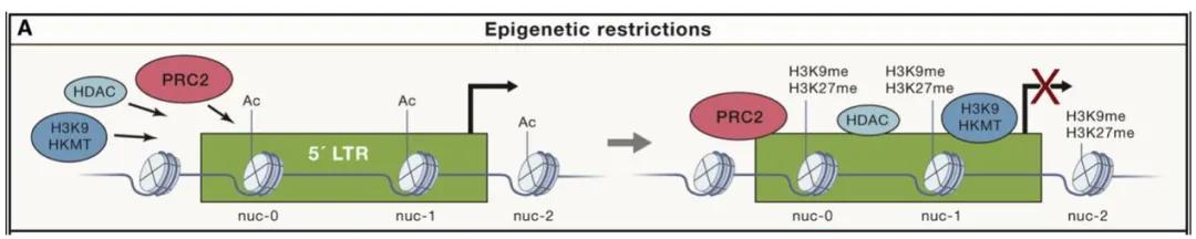 cell深入研究人类经验之谈,cell艾博论文