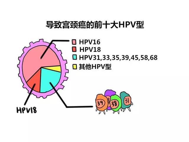 为什么我天天锻炼还总是生病,为什么我经常锻炼体质还是不好