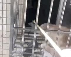 隔离的日子如同宅家,被隔离的日子真难熬吗