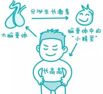 梅西生长激素缺乏的原因,梅西生长激素打了几年