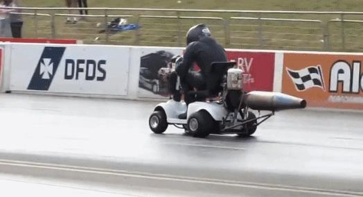 出门遇到这“街头流氓”,我劝你快逃