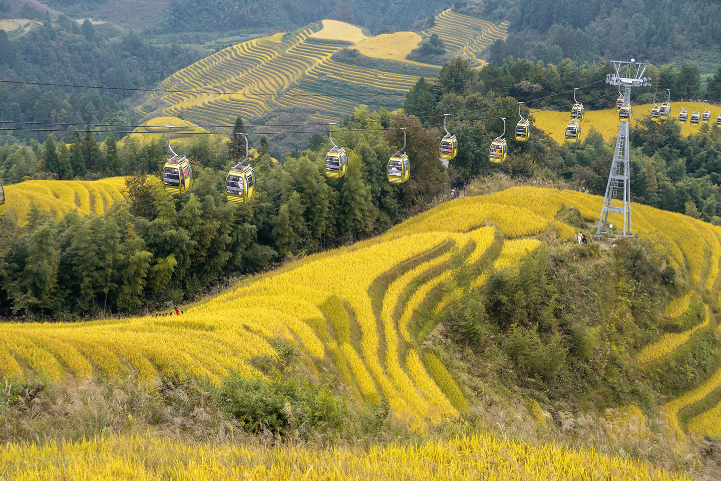 世界奇观龙脊梯田视频,世界梯田之冠桂林龙脊梯田