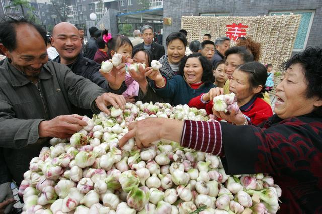 我国大蒜价格持续上涨，2020年“蒜你狠”局面会到来吗？